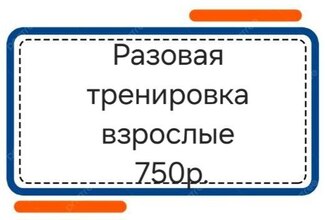 Разовая тренировка (взрослые) - Волейбольный клуб «ЛИДЕР»