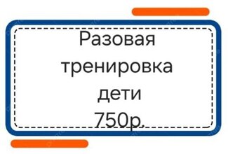 Разовое занятия (дети) - Волейбольный клуб «ЛИДЕР»